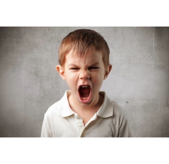 TÂM LÝ ĐỨA TRẺ HAY CÁU GIẬN